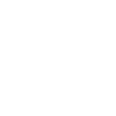 استانداردهای آهن