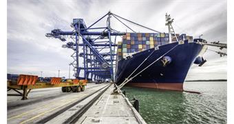 گزارش هفته 52 سال 2025