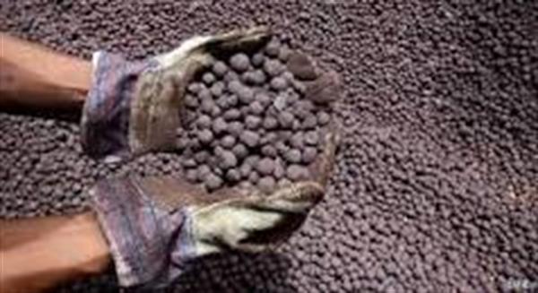 افزایش شدید تقاضای گندله در خاورمیانه و شمال آفریقا